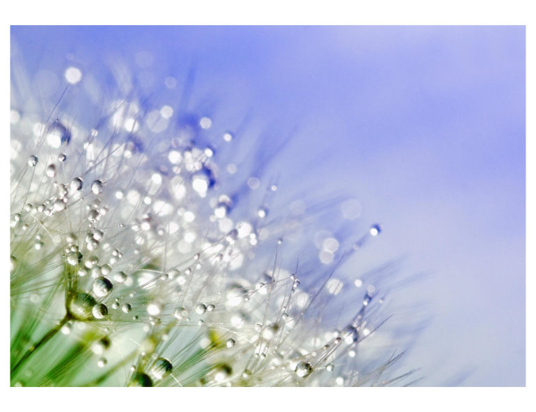 Die drei Säulen des Lebens