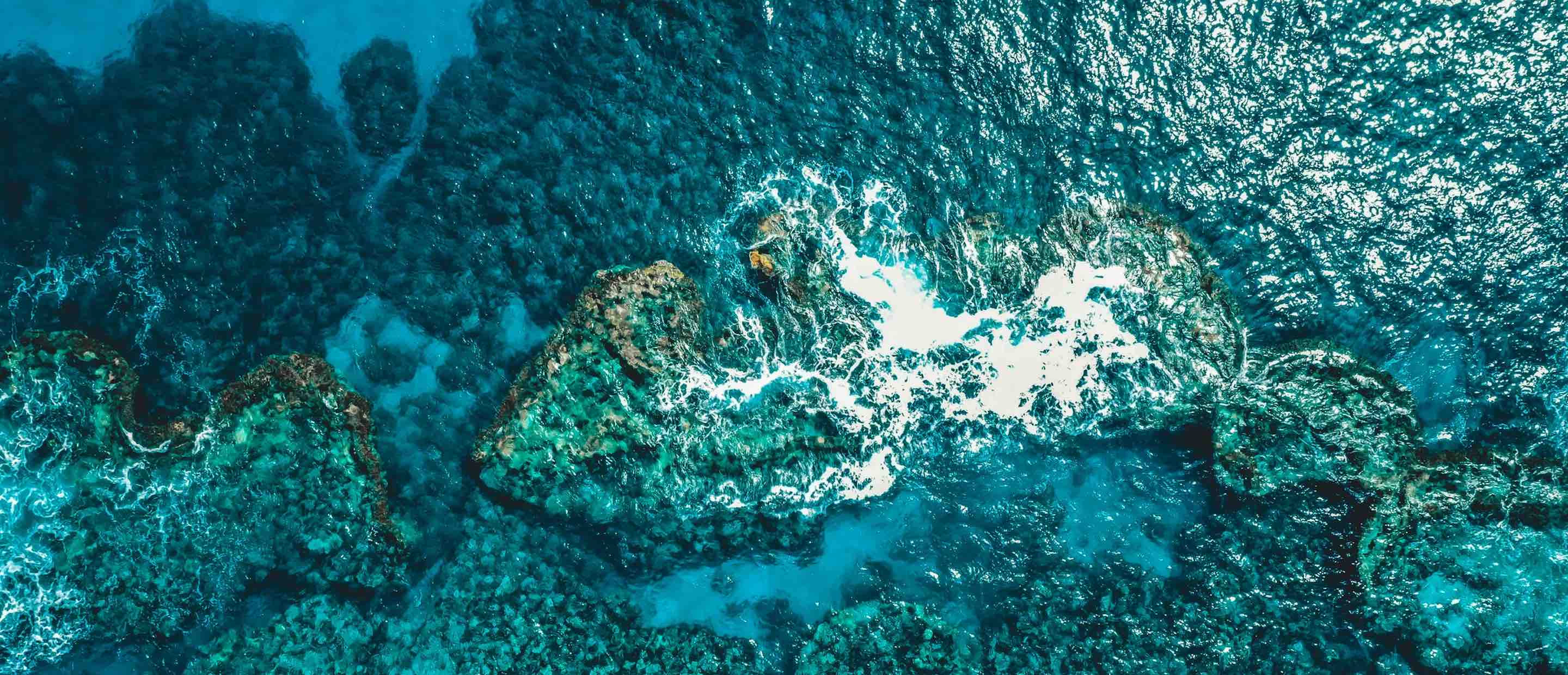 Zusammenarbeit mit ORRAA zum Schutz der Ozeane